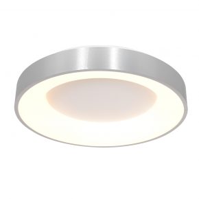 Plafonnier moderne acier Ringlede-2562ZI