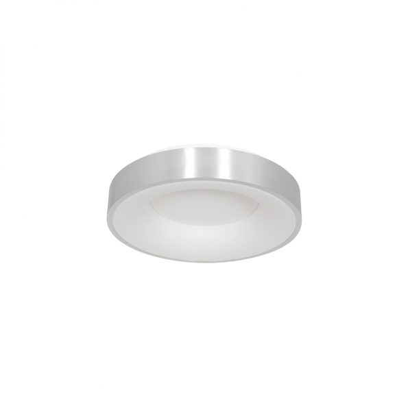Plafonniers industrielle Ringlede argent ø 30 cm – Image 2