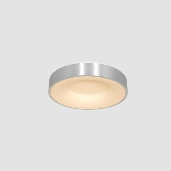 Plafonniers industrielle Ringlede argent ø 30 cm – Image 14